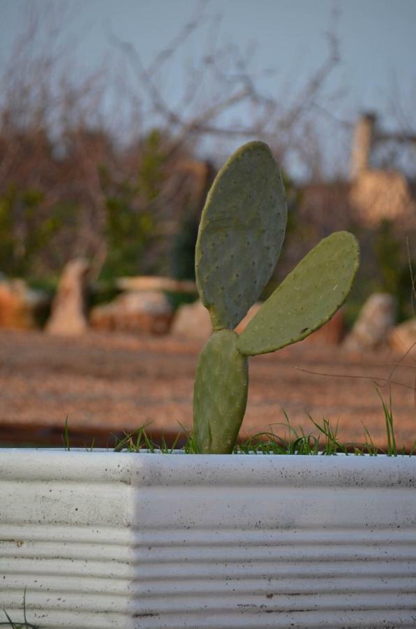 Masseria Poli Country House Конверсано Экстерьер фото